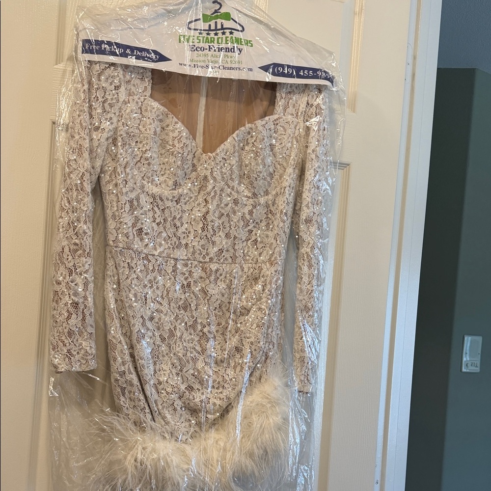 Elegant Lace Dress with Feather Trim